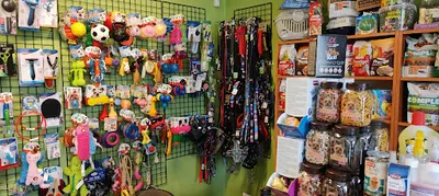 Sklep zoologiczny Gliwice